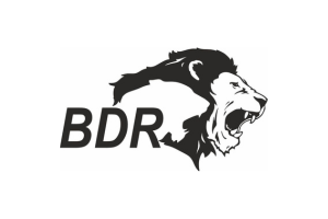 Logo 6